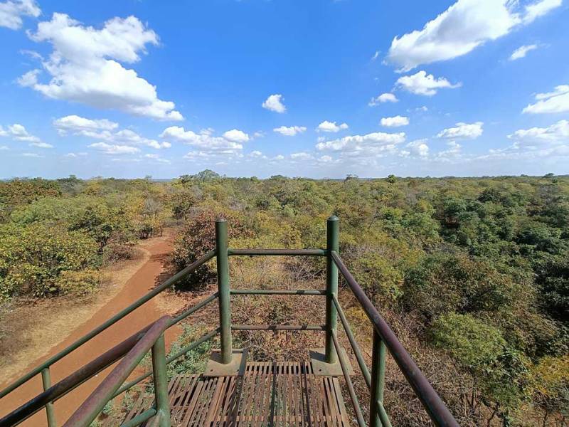 অনন্তগিরি হিলসে রোমাঞ্চকর ট্রেকিং