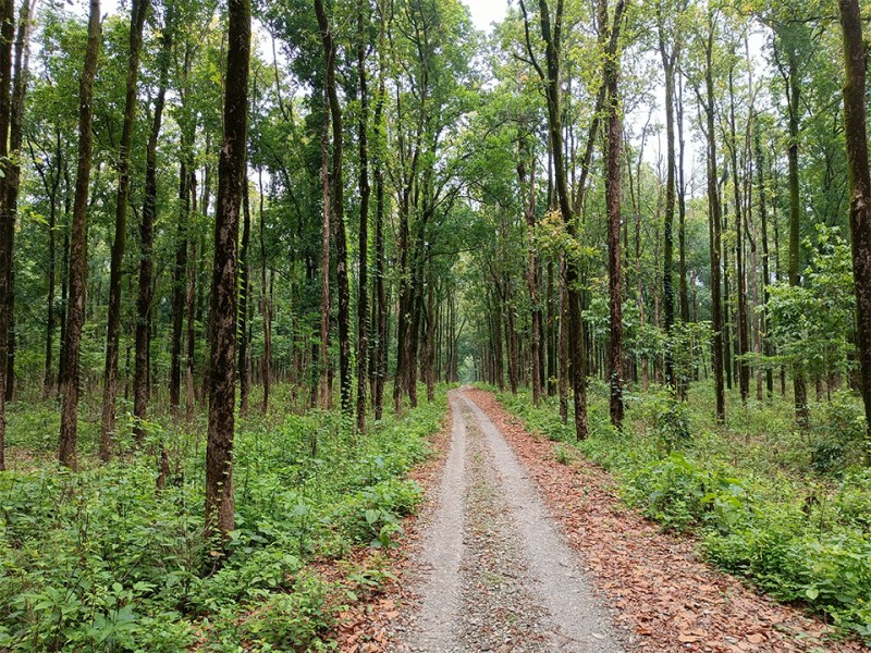 ৩ – পরিবেশ বিজ্ঞান