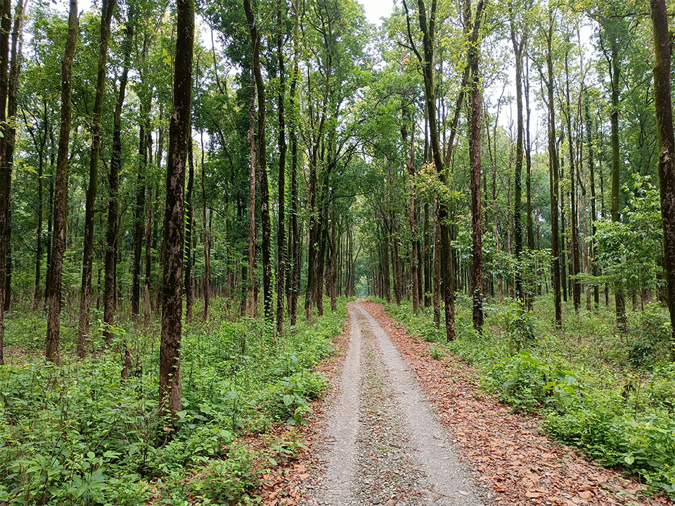 ৩ – পরিবেশ বিজ্ঞান